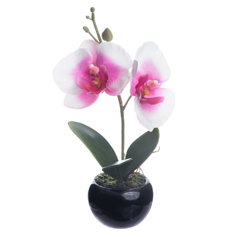 Pink Orchid Flower with Black Planter, 8"