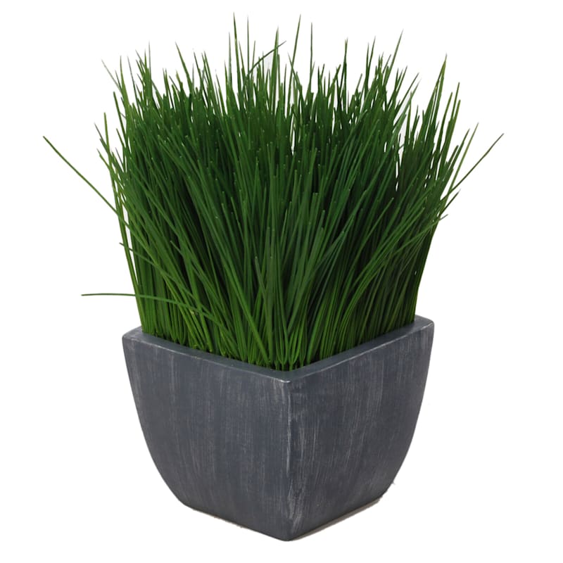 Grass Plant with Rustic Gray Planter, 11"