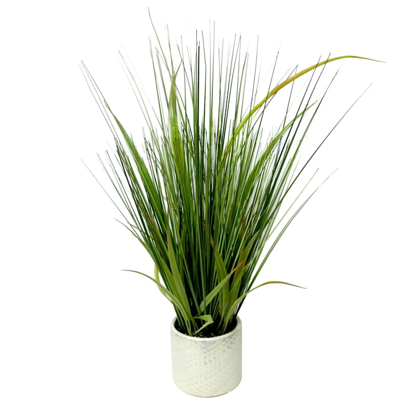 Grass Plant with Pearl Planter, 20"