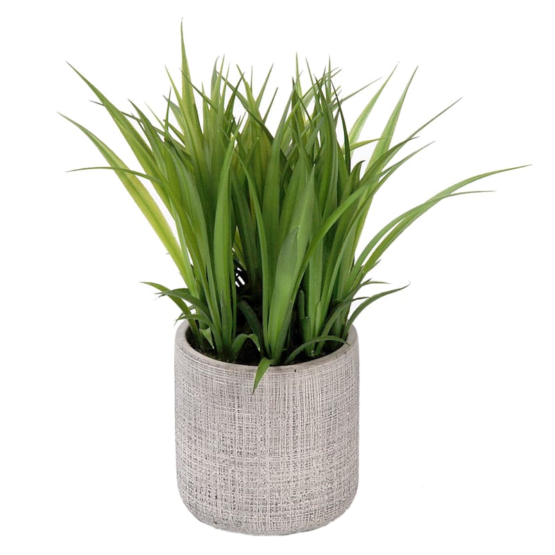 Grass Plant with Gray Planter, 8"