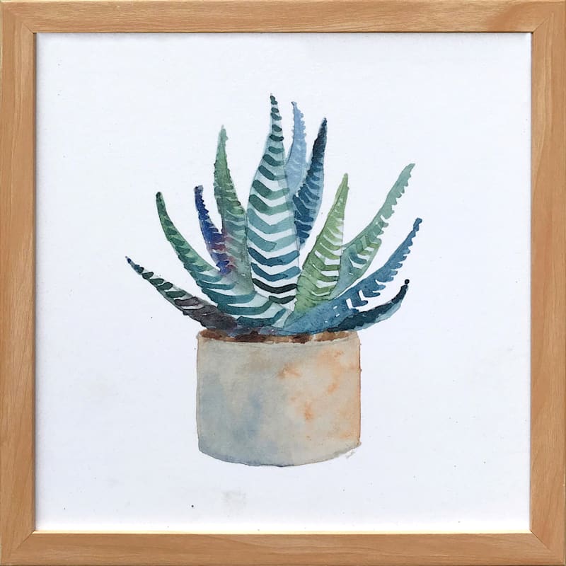 13X13 Zebra Cactus Framed Canvas Art
