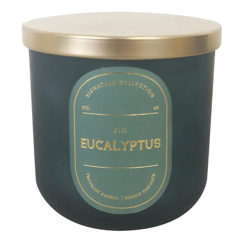 2-Wick Fig Eucalyptus Scented Jar Candle, 12.5oz