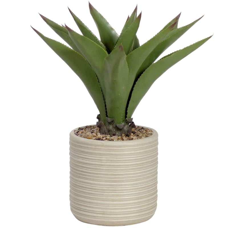 Aloe Vera with Taupe Textured Planter, 31"