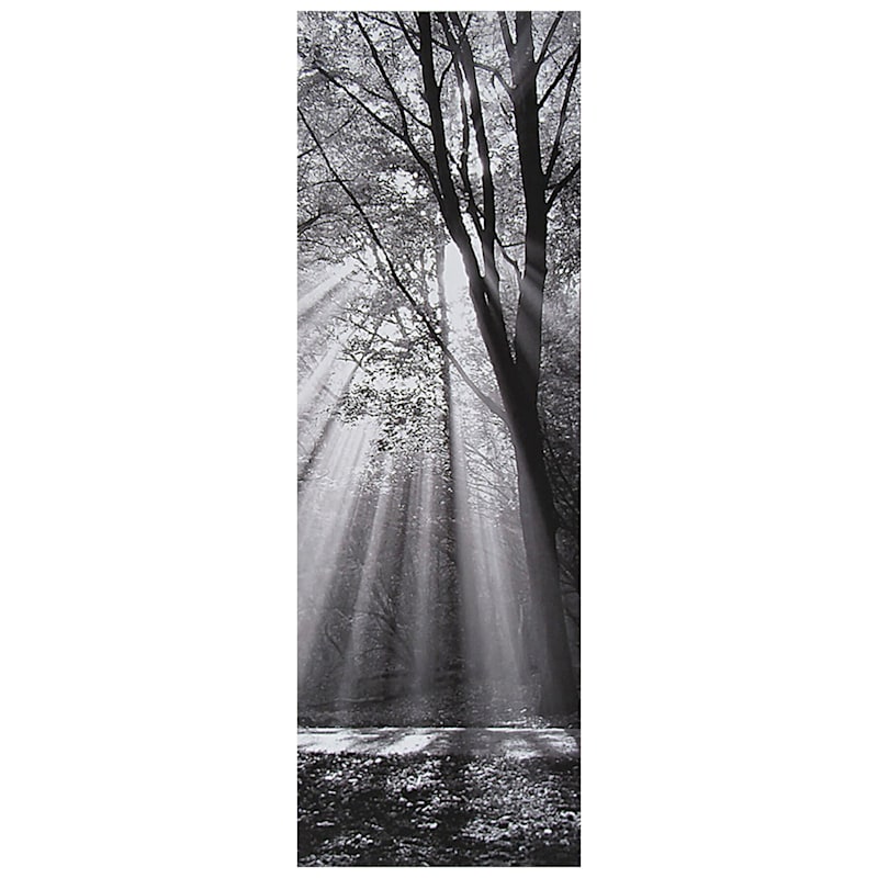Dressed to Shine Canvas Wall Art, 12x36
