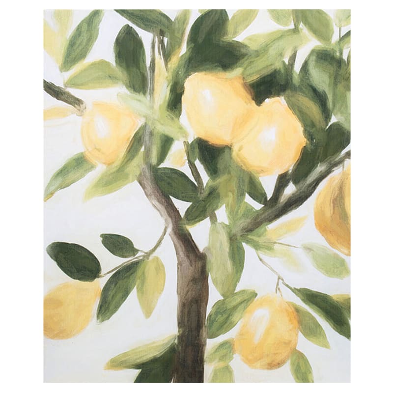 2-Piece Lemon Tree Canvas Wall Art Set, 14x11