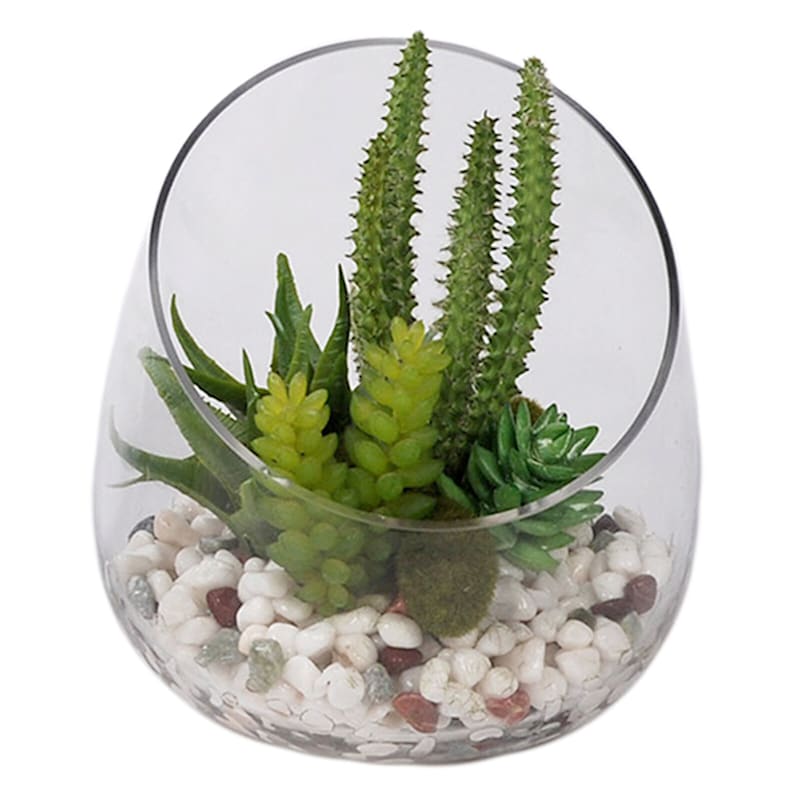 3-Piece Assorted Succulent Glass Terrarium Set, 6.5"