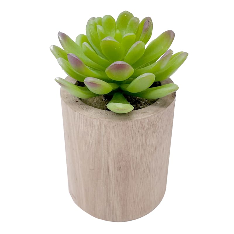 Lotus with Brown Wooden Planter, 4.5"