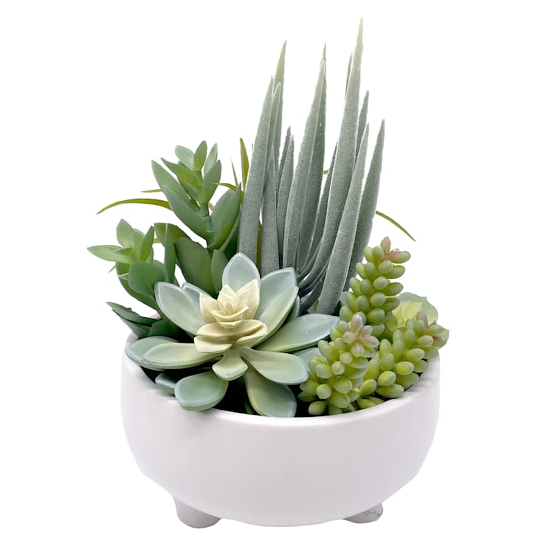 Mixed Succulents with White Planter, 9.5"