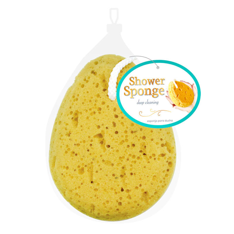 Shower Sponge