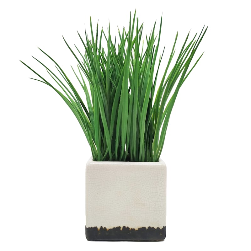 Grass Plant with White Square Planter, 10"
