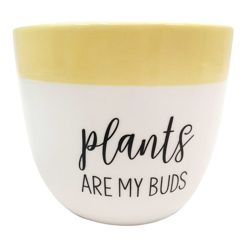 Plants Are My Buds Yellow & White Stoneware Pot, 4"