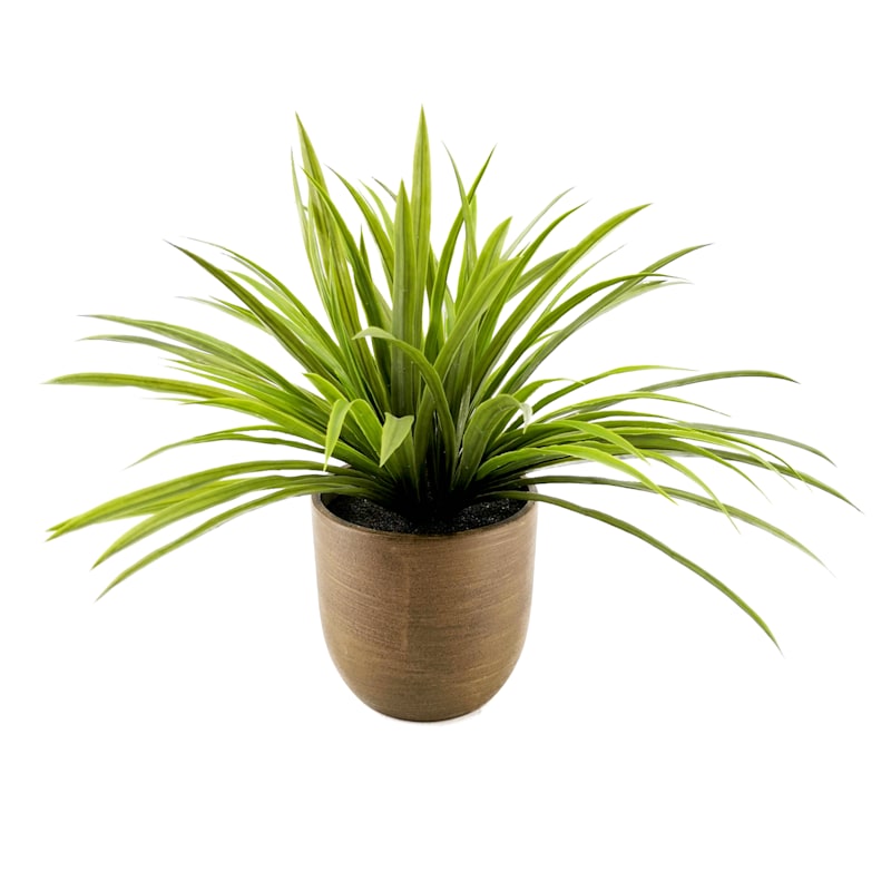Grass Plant with Textured Planter, 17"