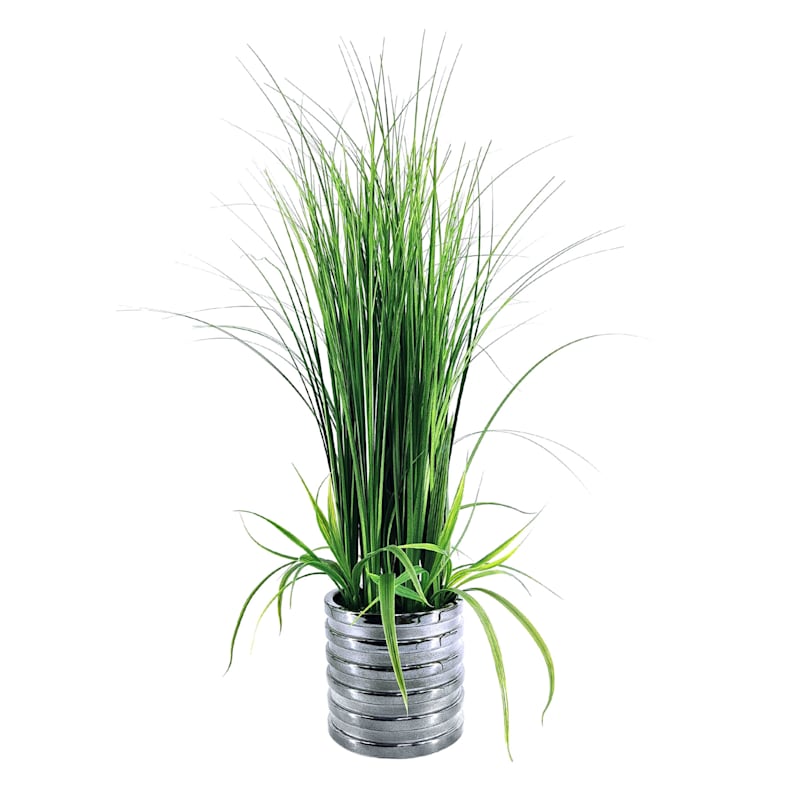 Grass Plant with Silver Ribbed Planter, 29"
