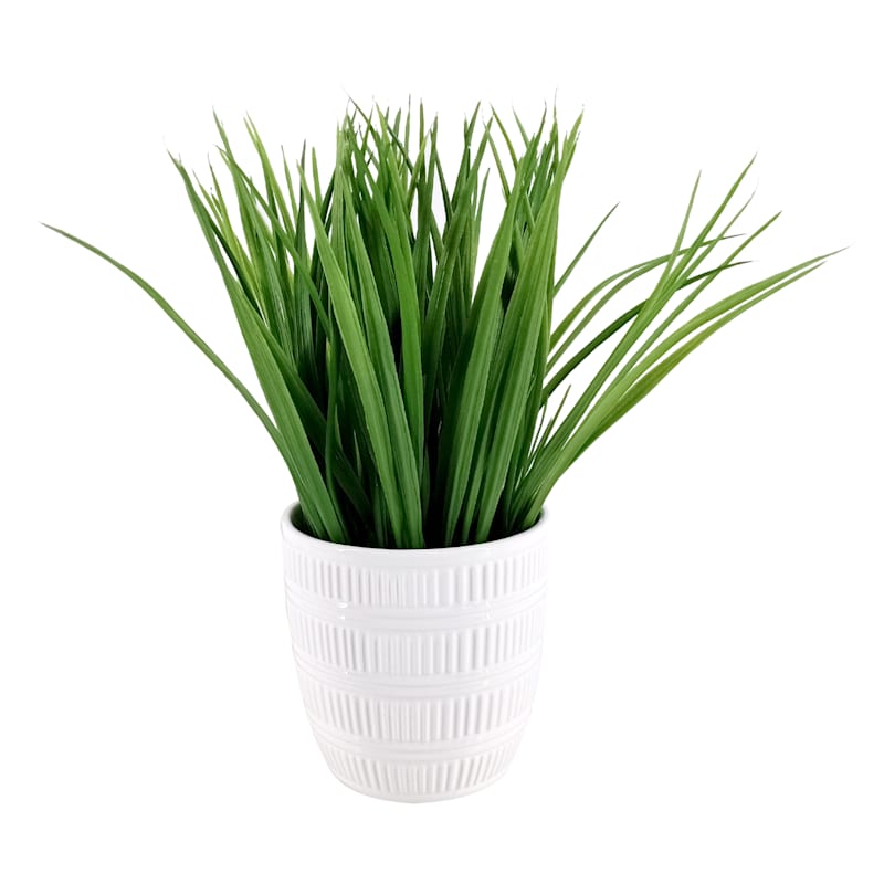 Grass Plant with White Planter, 10"