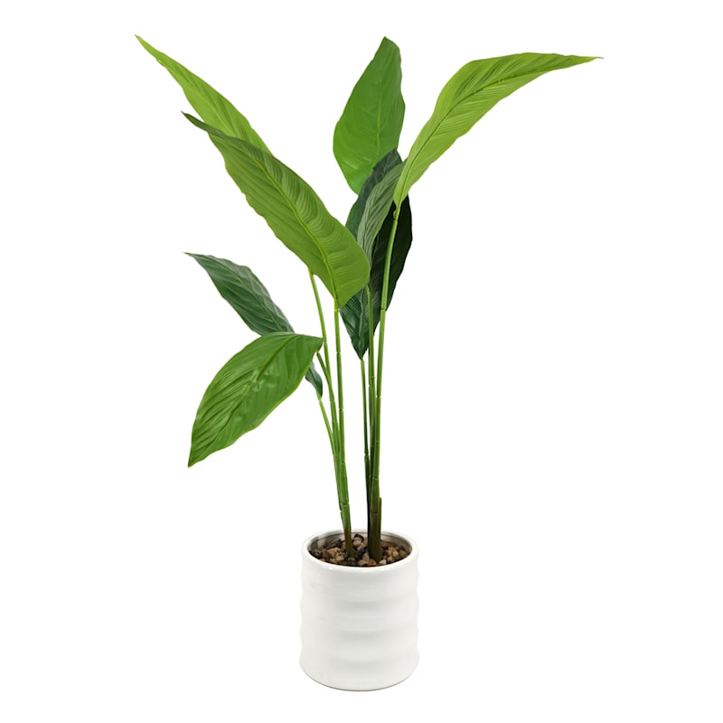 Tropical Plant with White Planter, 29.5"
