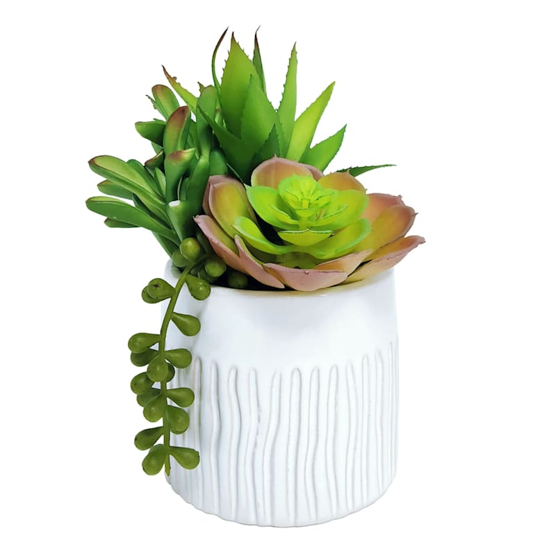 Succulent Mix with White Textured Planter, 8"