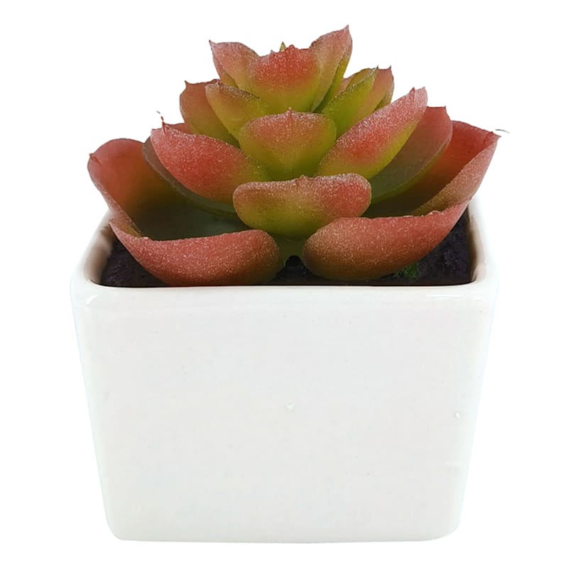 Succulent Ceramic Pot Red
