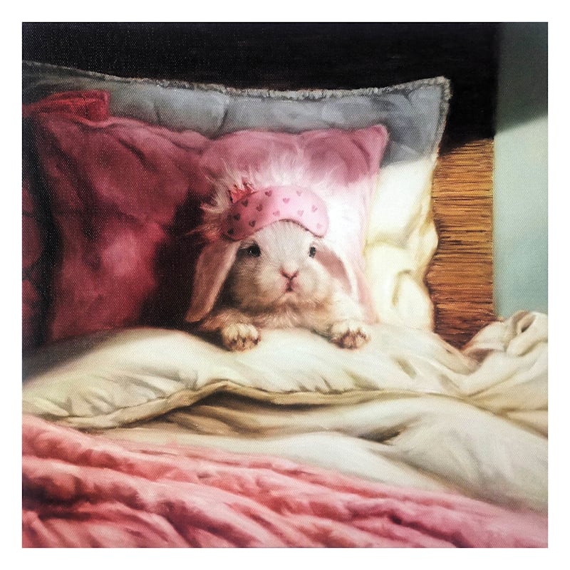 Miss Bed Hare Canvas Wall Art, 12"
