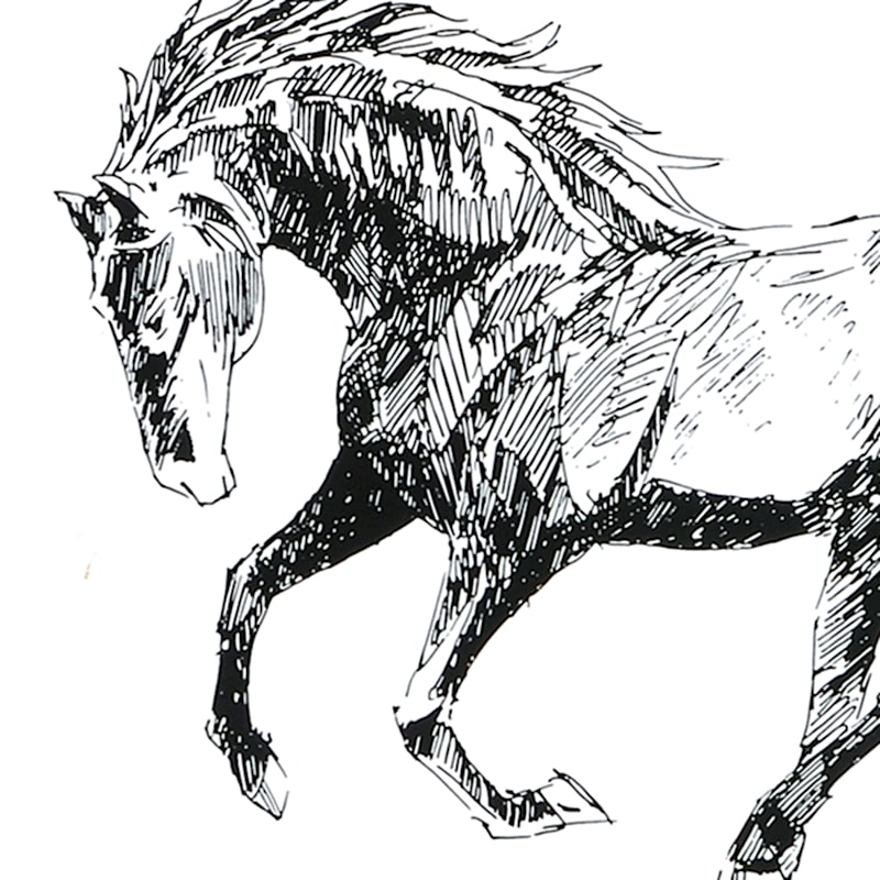 Vintage Horse Sketch Wall Print  Wall and Wonder