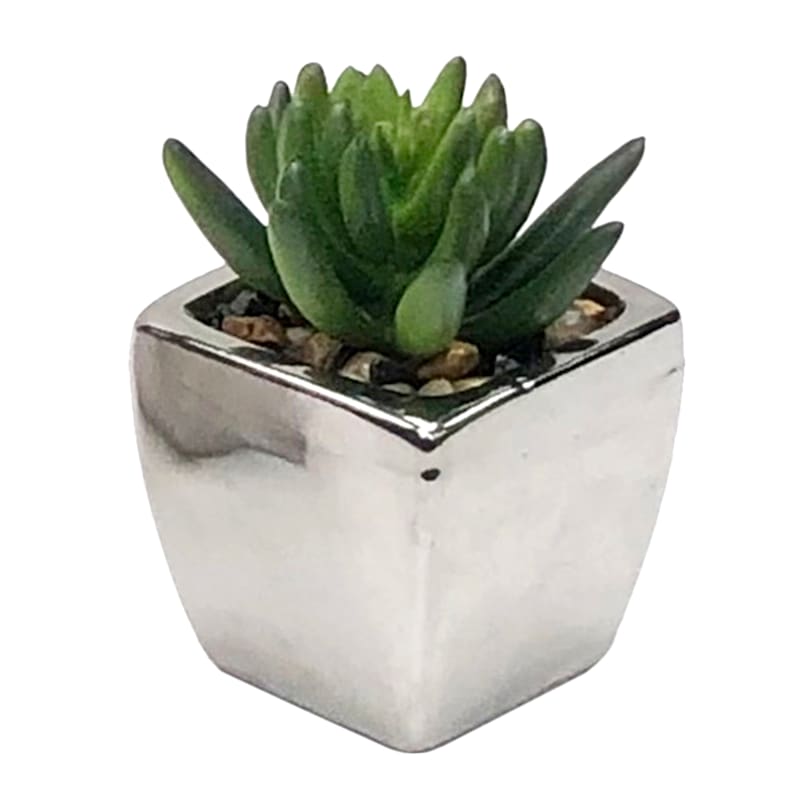 Set of 3 Succulents In Box Vase, Silver