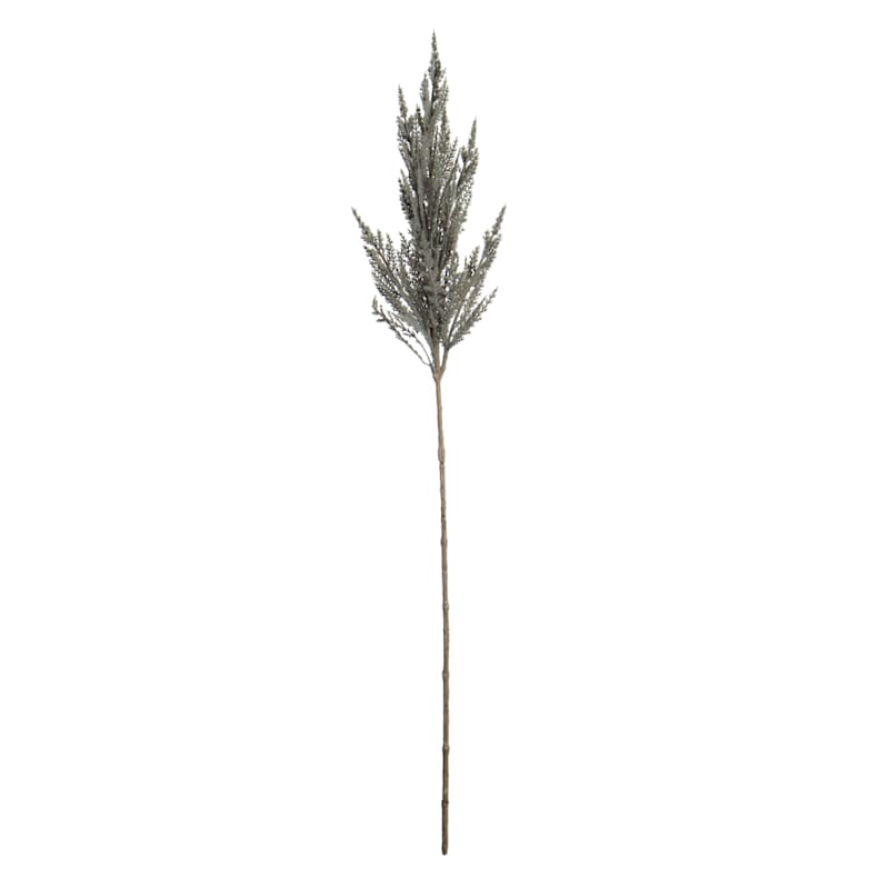 Grey Pampas Grass Stem, 32