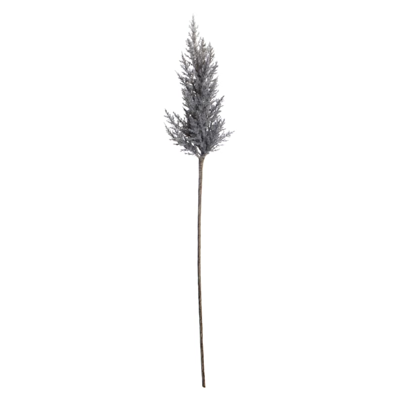 Grey Pampas Grass Stem, 36
