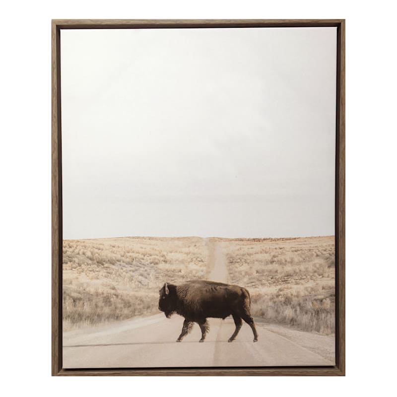 Ty Pennington 22X27 Framed Buffalo Canvas | At Home