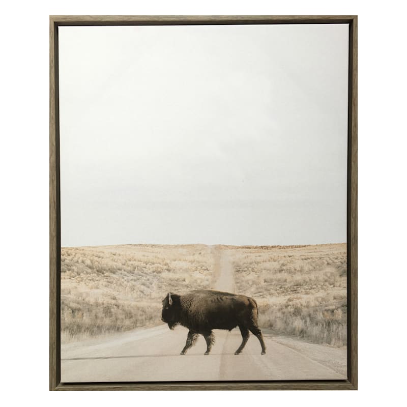 Ty Pennington Framed Buffalo Canvas Wall Art, 22x27