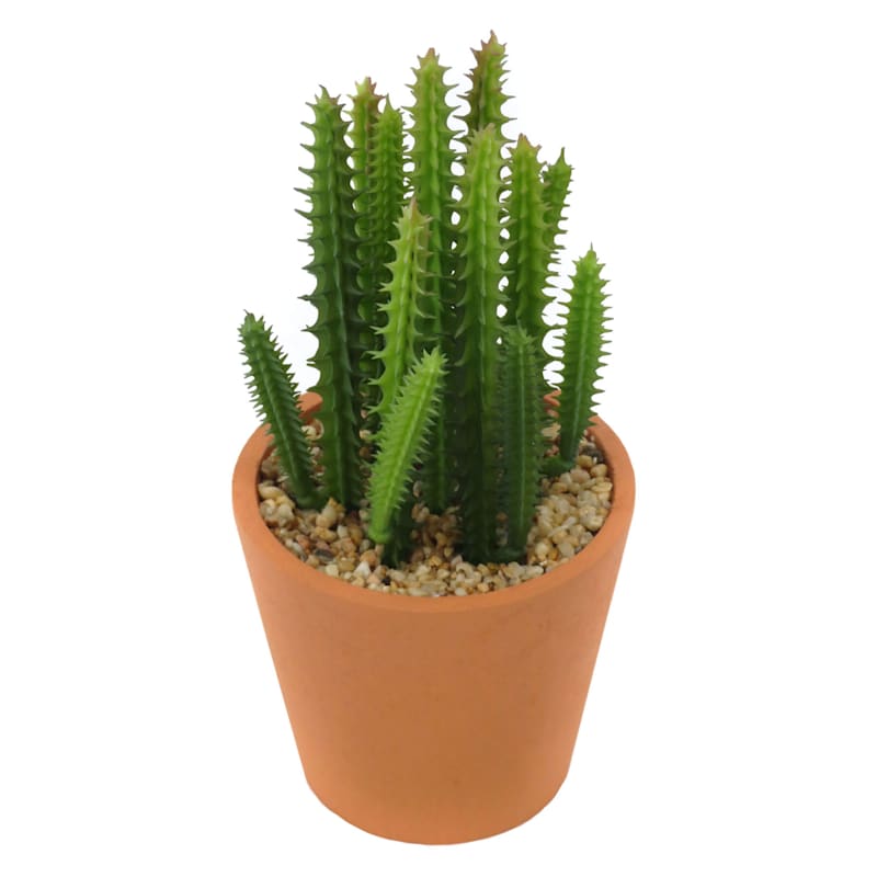 Cactus in Pot, 6"
