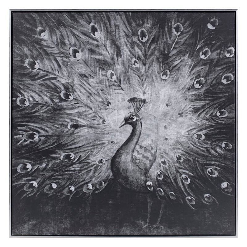 Black & White Peacock Framed Canvas Wall Art, 30"