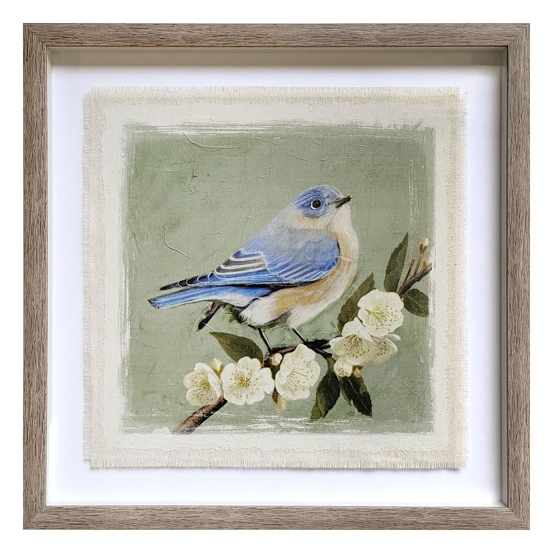 at Home Canvas Providence Bird 11 L x 14 H x 1 W Wall Art