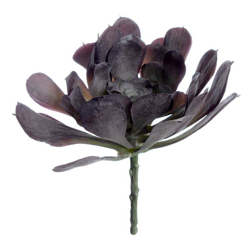Purple Echeveria Stem, 7"