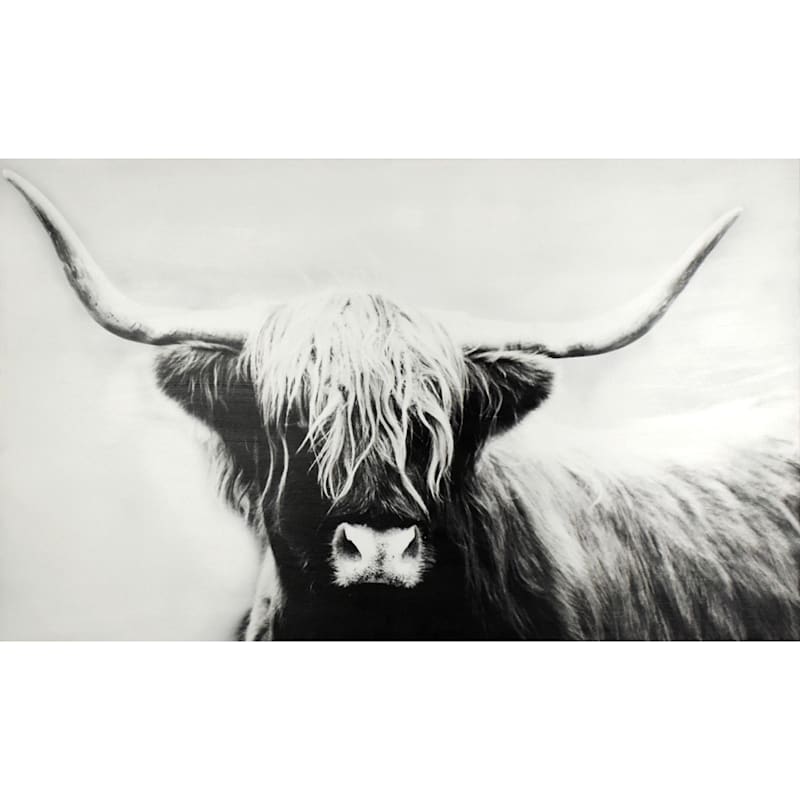 Highland Cow Canvas Wall Art, 60x36