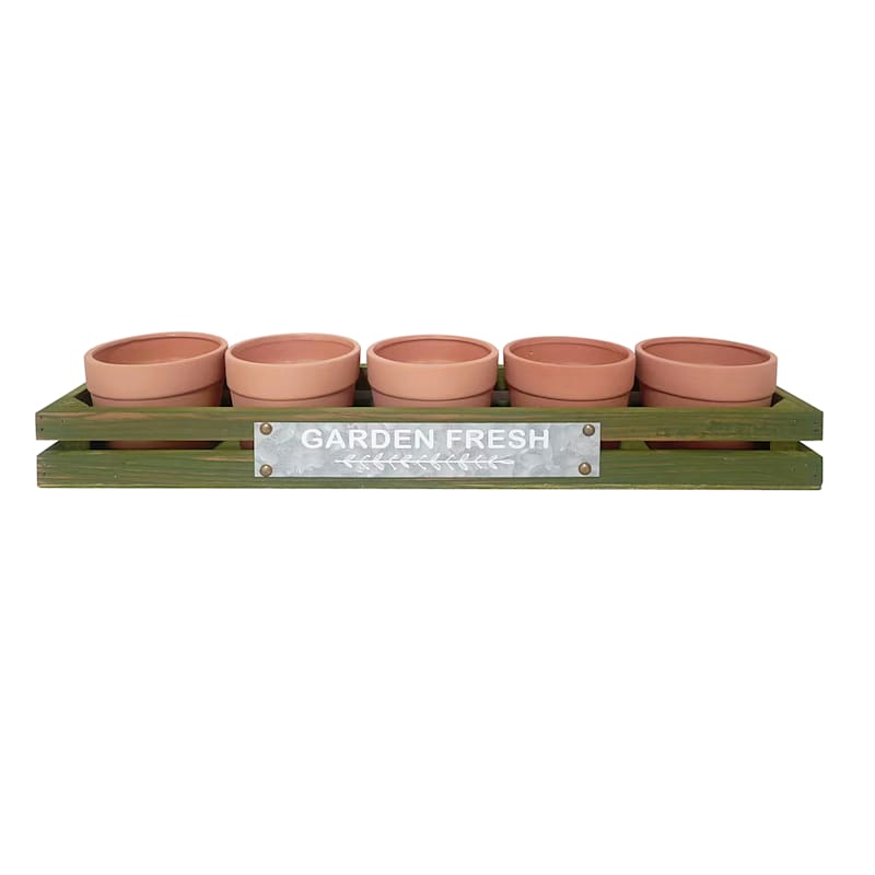 Honeybloom 5Piece Terracotta Herb Planter