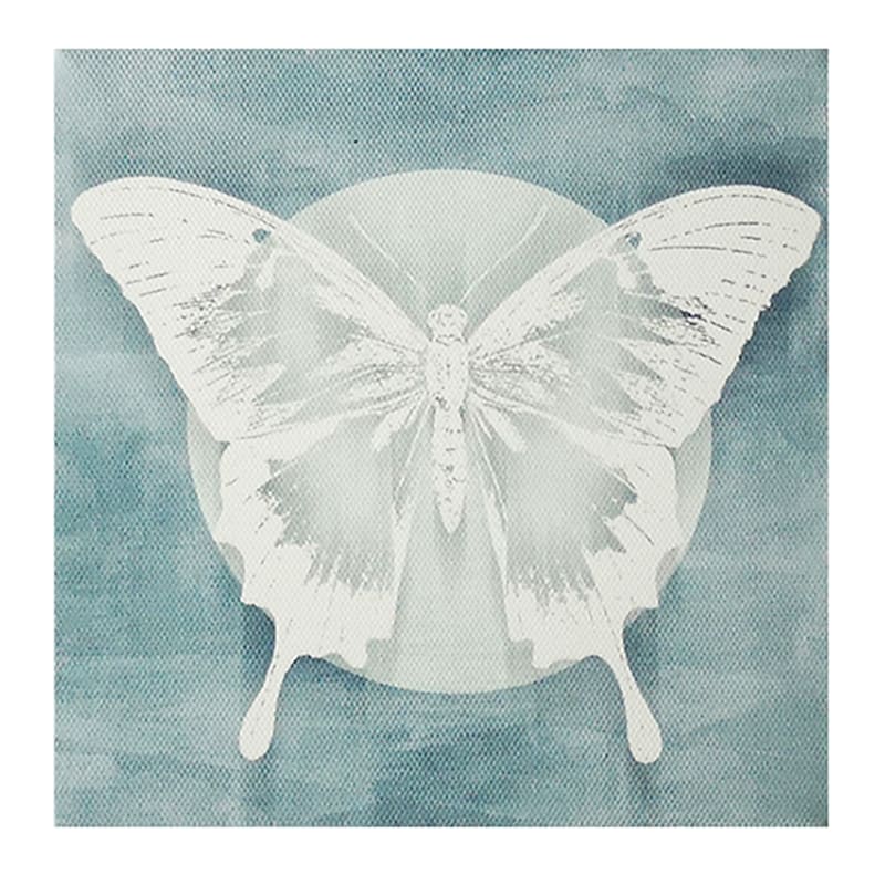 3Pc 6X6 Butterfly Canvas Wall Art At Home