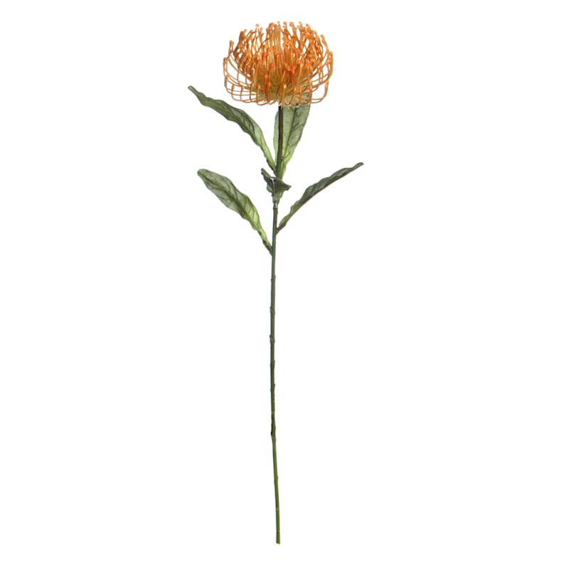 Orange Protea Floral Stem, 27"