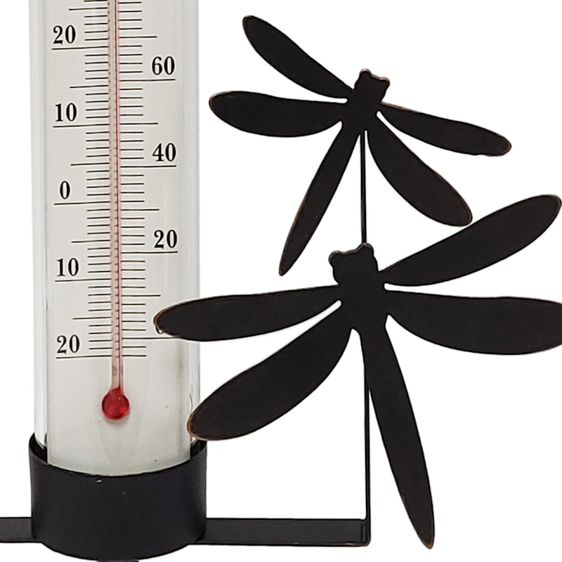 https://static.athome.com/images/w_800,h_800,c_pad,f_auto,fl_lossy,q_auto/v1664367880/p/124368224_1/dragonfly-wall-mounted-outdoor-thermometer.jpg