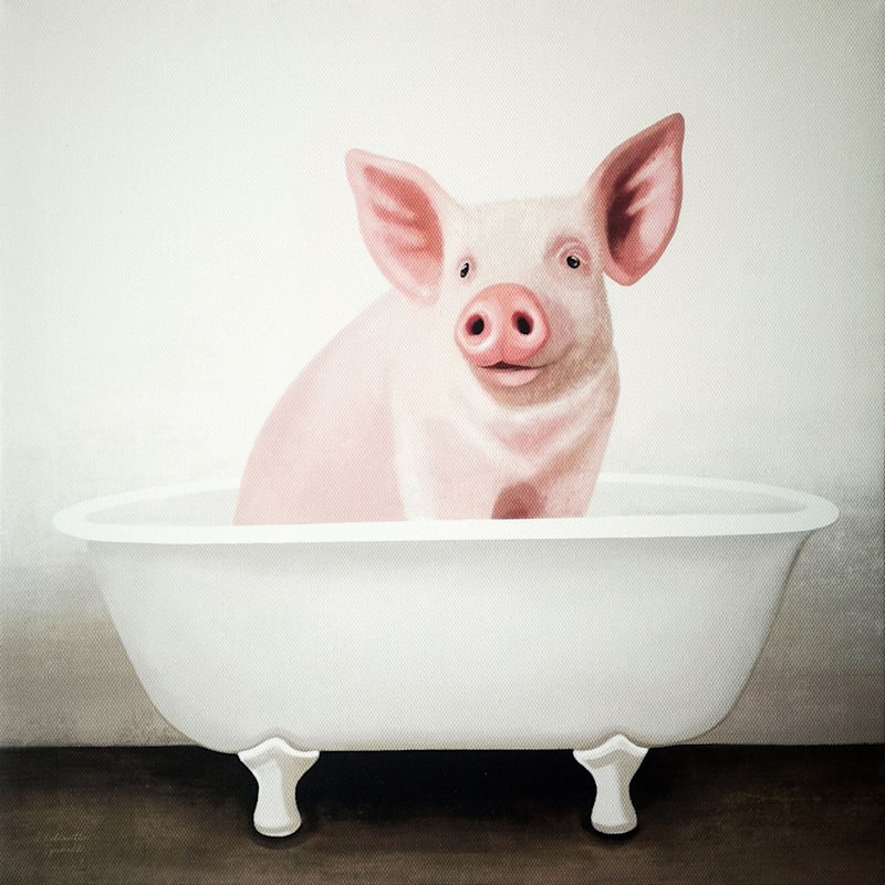 Bathtub Pig Canvas Wall Art, 12"