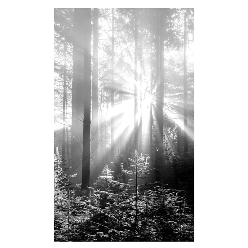 Black & White Forest Canvas Wall Art, 36x60