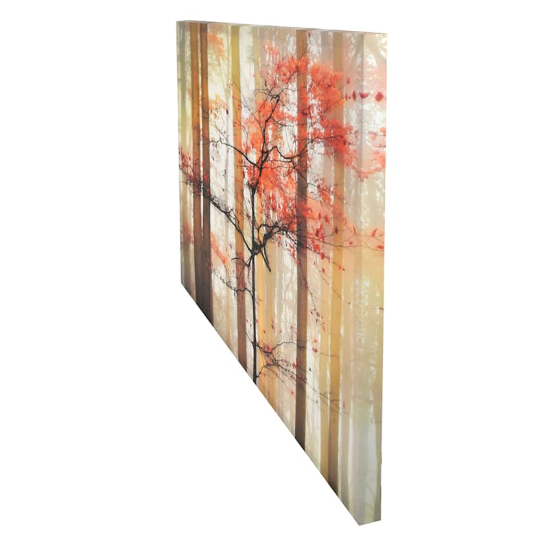 Orange Awakening Canvas Wall Art, 36x24