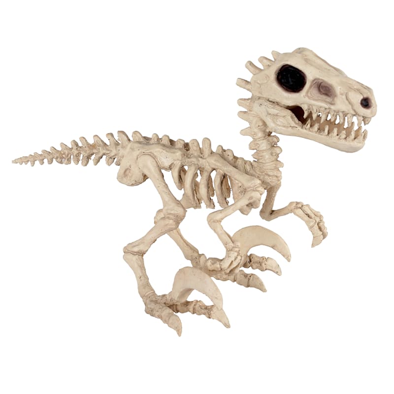 Small Halloween T-Rex Skeleton, 4.75\