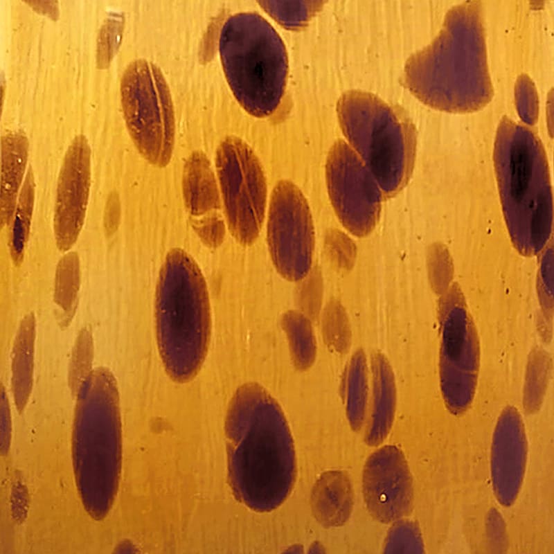 Glass Tortoise Shell Cylinder Candle Holder, 6