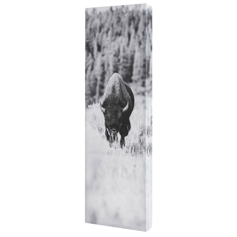 Ty Pennington Bison Grazing Canvas Wall Art, 12x36