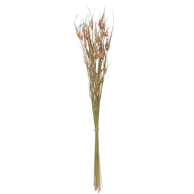 Mauve Star Grass Bundle