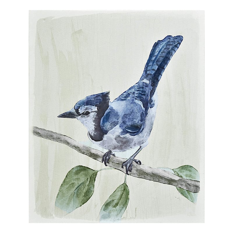 at Home Canvas Providence Bird 11 L x 14 H x 1 W Wall Art
