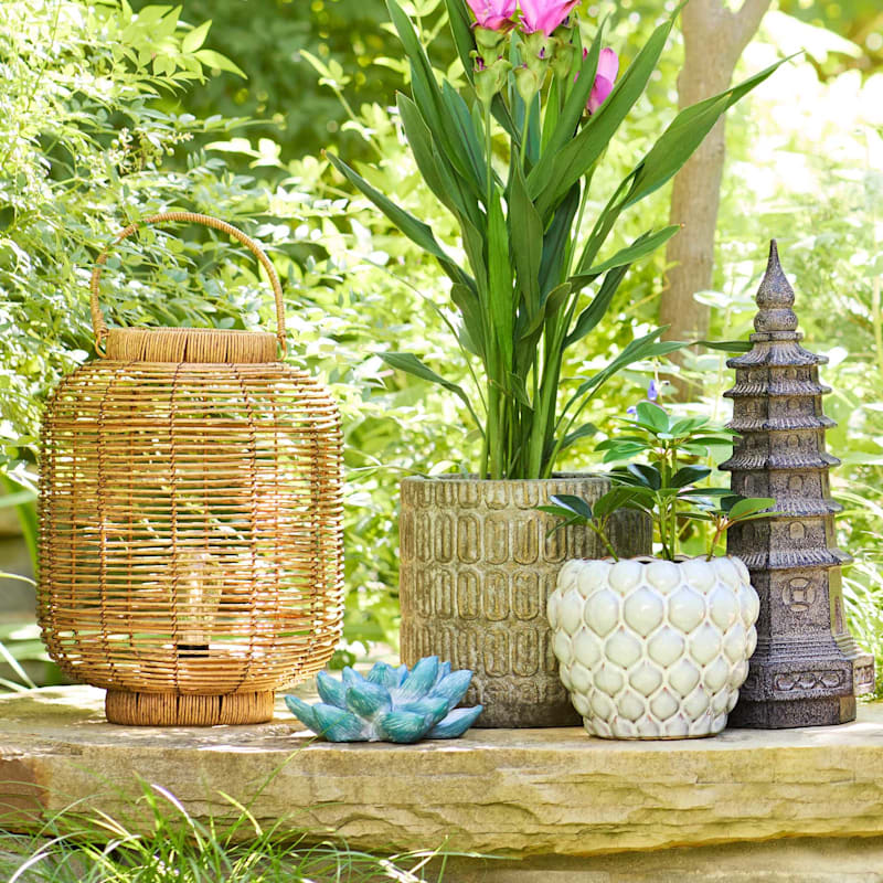 The lotus lantern fable outlet