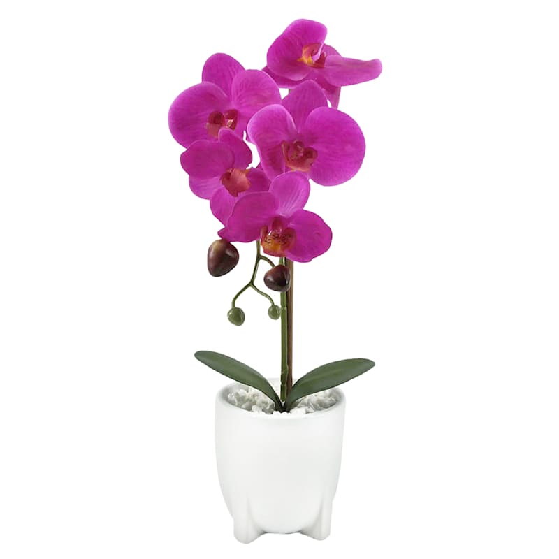Purple Orchid in Ceramic Pot, 14.5"