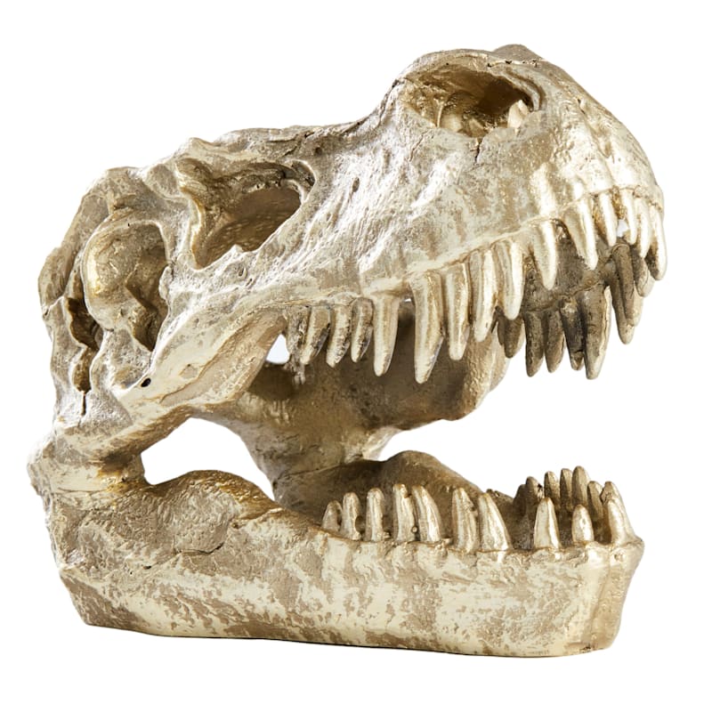 t rex skeleton head