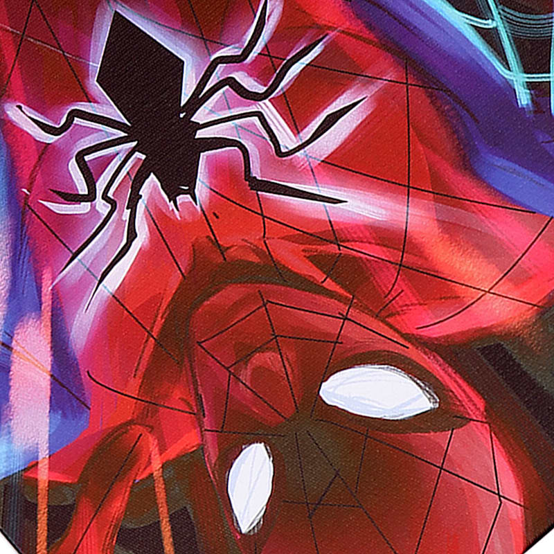Spiderman Canvas Wall Art, 11x14