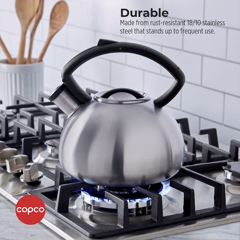 Copco tea sales kettle replacement parts